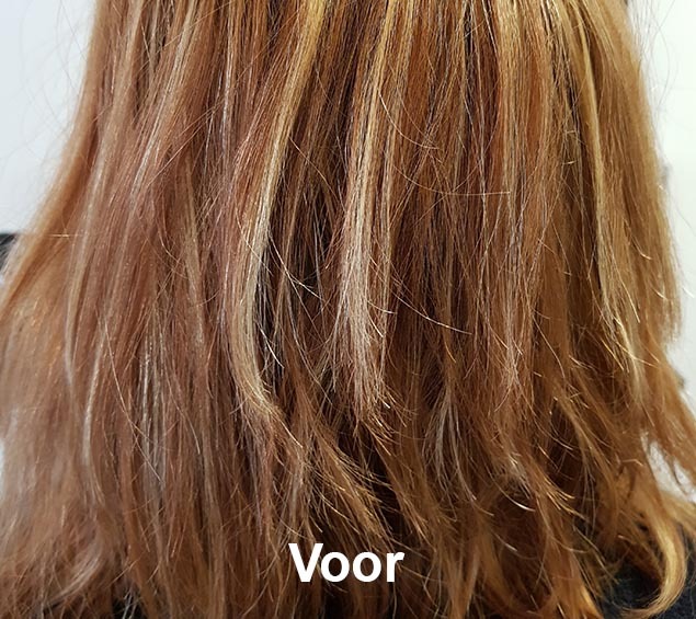 Haarstijl Inge - Trainingen - Advanced Blonde 2019 - Kadus Professional foto 1 voor