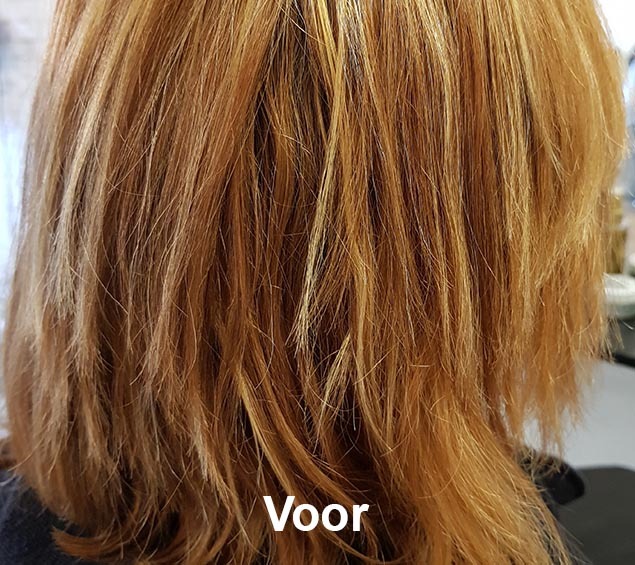 Haarstijl Inge - Trainingen - Advanced Blonde 2019 - Kadus Professional foto 3 voor