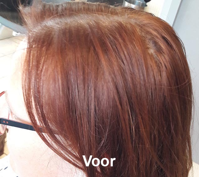 Haarstijl Inge - Trainingen - Demi Permanent Color 2017 - Kadus Professional foto 2 voor