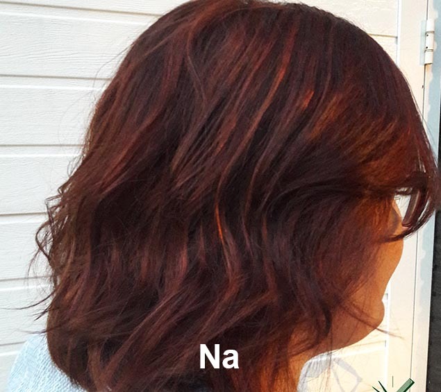 Haarstijl Inge - Trainingen - Demi Permanent Color 2017 - Kadus Professional foto 4 na