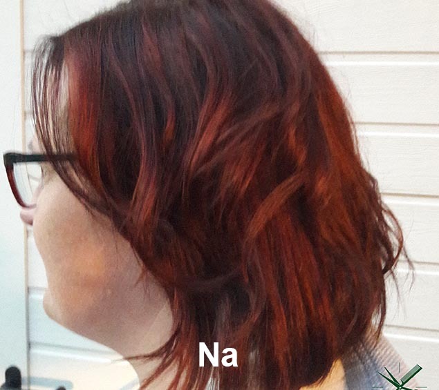 Haarstijl Inge - Trainingen - Demi Permanent Color 2017 - Kadus Professional foto 5 na