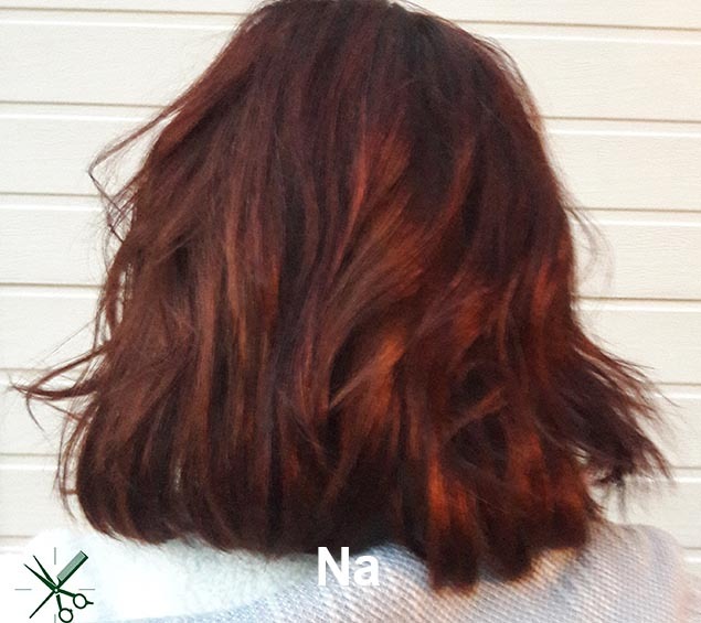 Haarstijl Inge - Trainingen - Demi Permanent Color 2017 - Kadus Professional foto 6 na